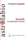 Non profit. Tra solidarietà e imp