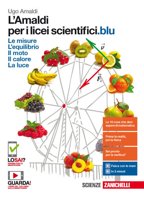 L Amaldi Per I Licei Scientifici Blu Soluzioni