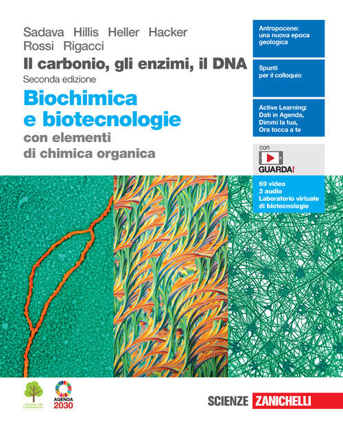 Il Carbonio, Gli Enzimi, Il DNA. Biochimica E Biotecnologie Con ...