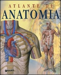 (NUOVO o USATO) Atlante di anatomia (NUOVO o USATO) Atlante di anatomia