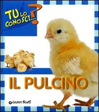 Il pulcino Il pulcino