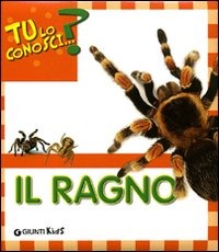 Il ragno Il ragno