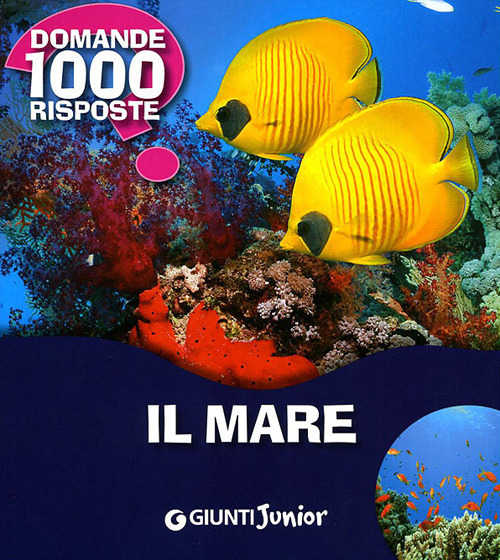 (NUOVO o USATO) Il mare (NUOVO o USATO) Il mare