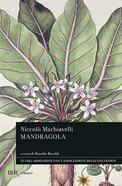 Leggi tutto: la mandragola la mandragola