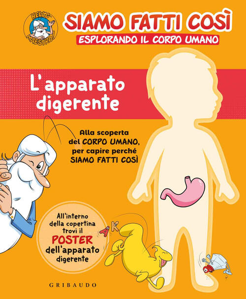 l apparato digerente siamo fatti così esplorando il corpo umano con