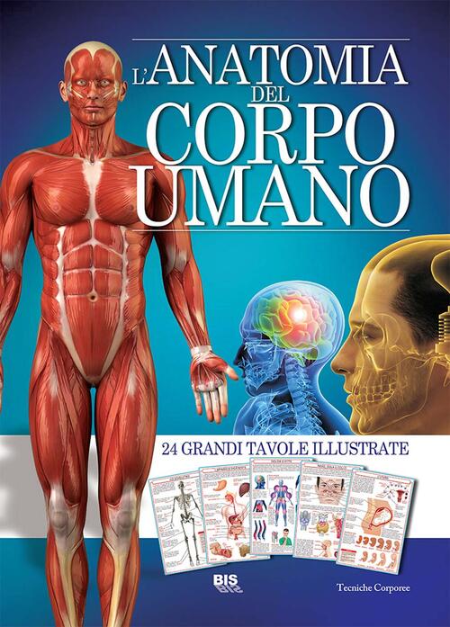 L Anatomia Del Corpo Umano Libro Libraccio It