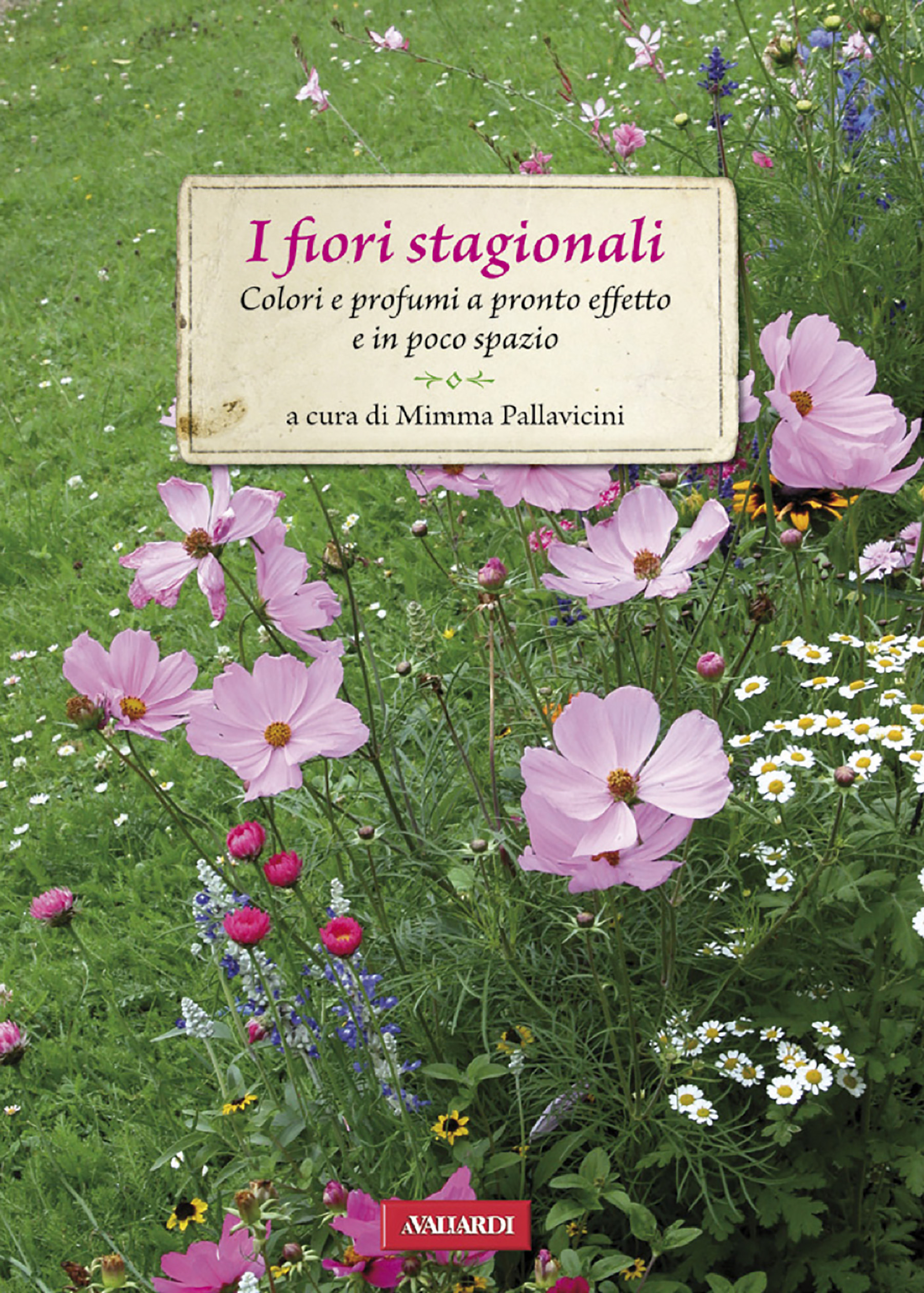 fiori stagionali