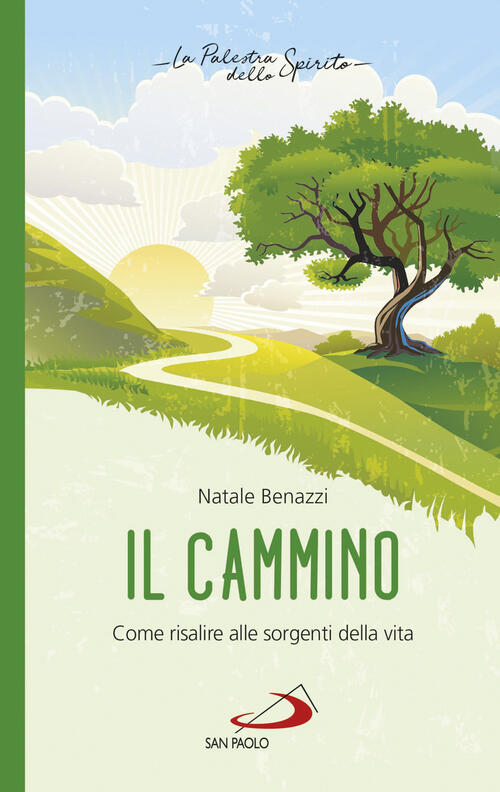 Il Cammino Come Risalire Alle Sorgenti Della Vita Natale Benazzi Libro Libraccio It