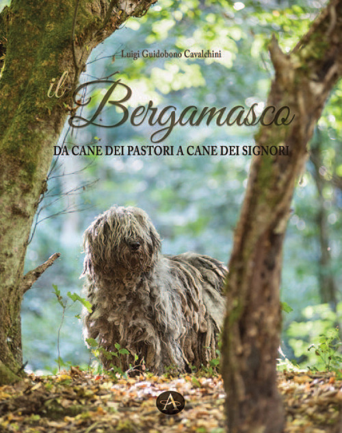 Image of Il bergamasco. Da cane dei pastori a cane dei signori